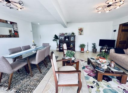 Venta departamento en Viña
